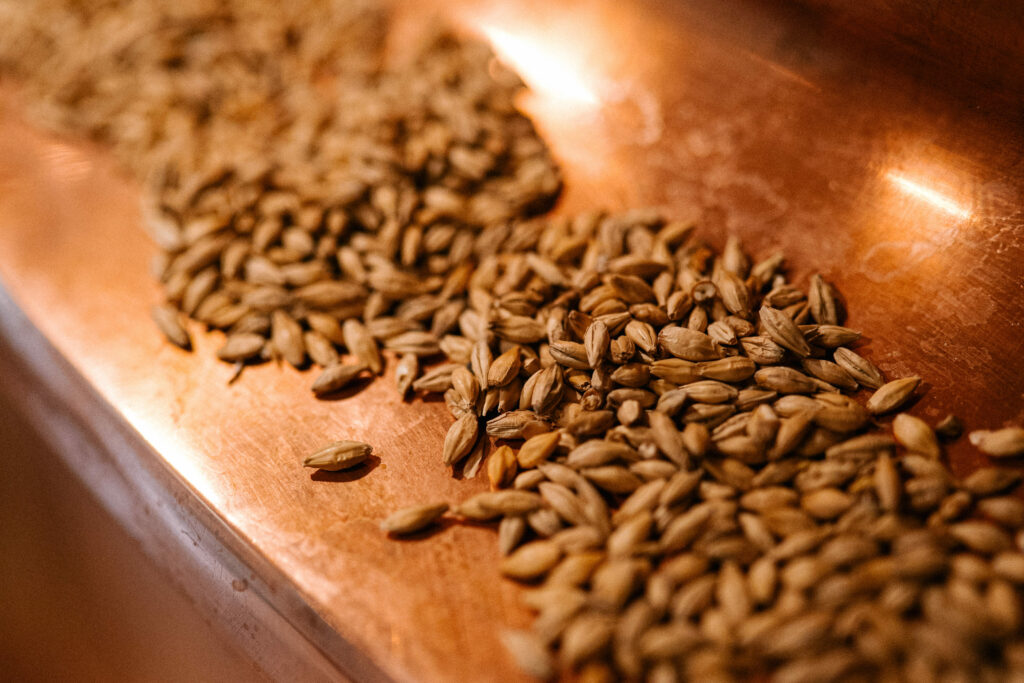 Auf dem Bild ist Getreide zu sehen.